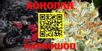 тгк Шахты