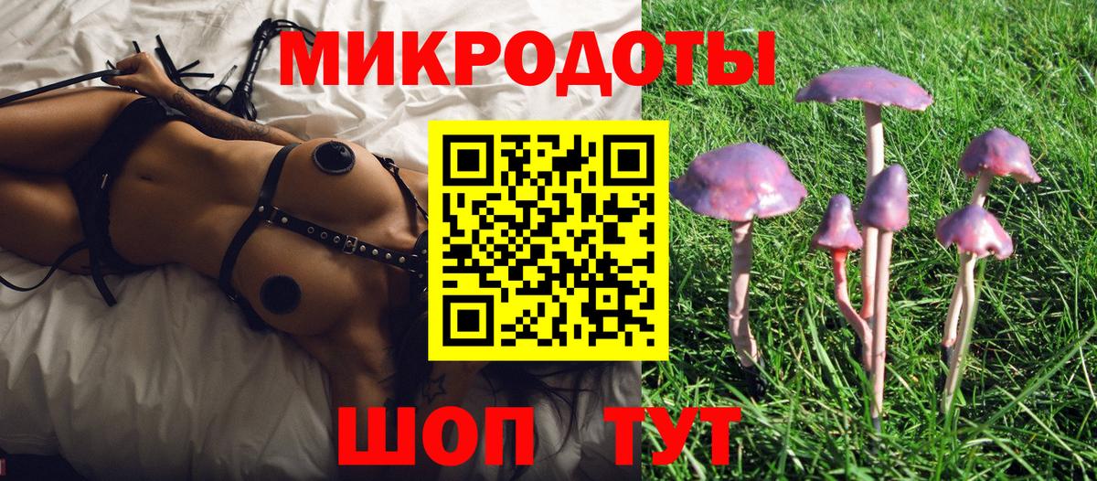 Галлюциногенные грибы прущие грибы Родники